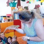 phoca_thumb_m_agamy krlk zajci 40 Fotogalerie